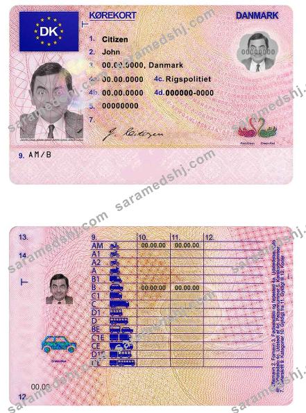 Denmark driving license